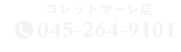 045-264-9101